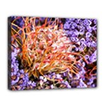  Purple Baby s Breath and Dried Orange Protea  by Ruth Edward Anderson - Canvas 14  x 11  (Stretched)