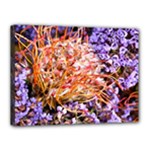  Purple Baby s Breath and Dried Orange Protea  by Ruth Edward Anderson - Canvas 16  x 12  (Stretched)