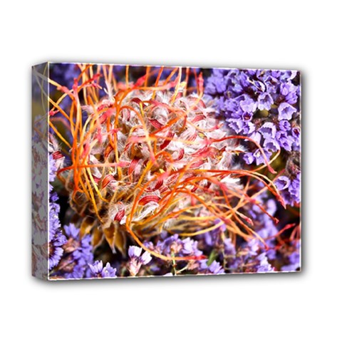  Purple Baby s Breath and Dried Orange Protea  by Ruth Edward Anderson