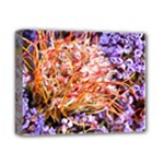  Purple Baby s Breath and Dried Orange Protea  by Ruth Edward Anderson - Deluxe Canvas 14  x 11  (Stretched)