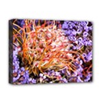  Purple Baby s Breath and Dried Orange Protea  by Ruth Edward Anderson - Deluxe Canvas 16  x 12  (Stretched) 