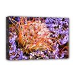  Purple Baby s Breath and Dried Orange Protea  by Ruth Edward Anderson - Deluxe Canvas 18  x 12  (Stretched)