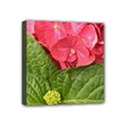 Mini Canvas 4  x 4  (Stretched) 