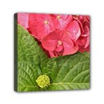 Pink Geranium - Ruth E Anderson -  Mini Canvas 6  x 6  (Stretched)