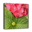 Mini Canvas 8  x 8  (Stretched) 