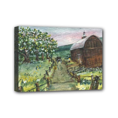 Amish Apple Blossoms