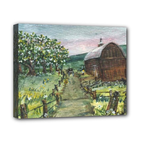 Amish Apple Blossoms