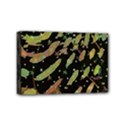 Mini Canvas 6  x 4  (Stretched) 