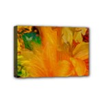 Flowers From My Heart To You   Sherri Nicholas   Mini Canvas 6  x 4  (Stretched)