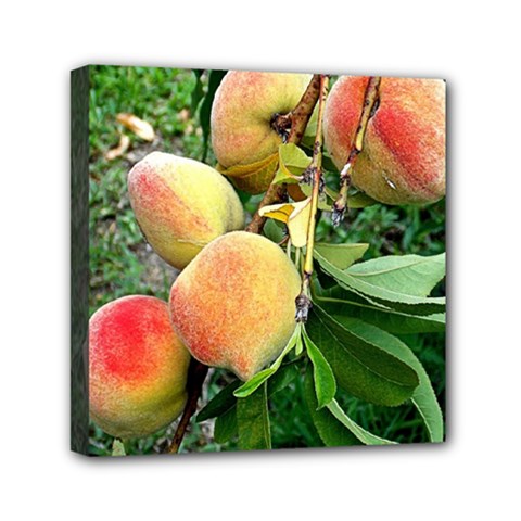 Peaches