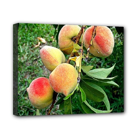 Peaches