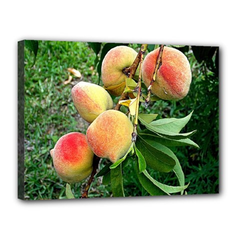Peaches