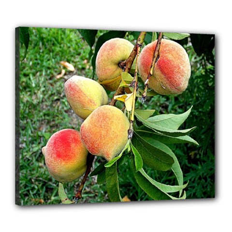 Peaches