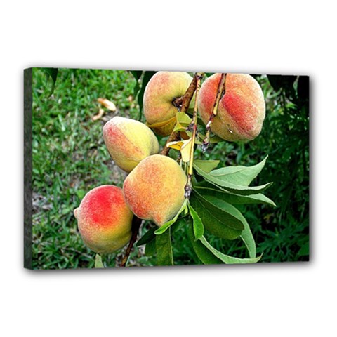 Peaches