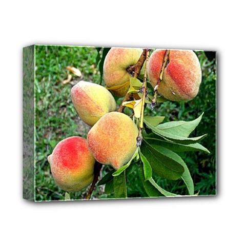 Peaches