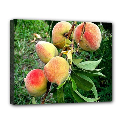 Peaches
