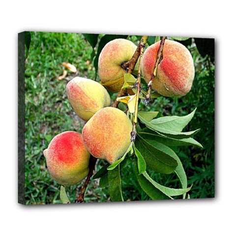 Peaches