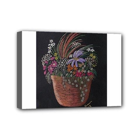 Flowers In Pot   Fran Hoffpauir Mini Canvas 7  x 5  (Stretched) from ArtsNow.com