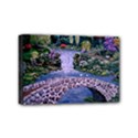 Mini Canvas 6  x 4  (Stretched) 