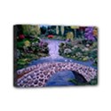Mini Canvas 7  x 5  (Stretched) 