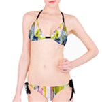 Graffiti Graphic Bikini
