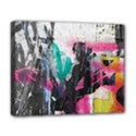 Deluxe Canvas 20  x 16  (Stretched) 