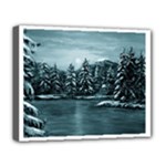 WINTER MOON