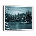Deluxe Canvas 20  x 16  (Stretched) 