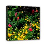 Mystical Garden Mini Canvas 6  x 6  (Stretched)