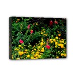 Mystical Garden Mini Canvas 7  x 5  (Stretched)