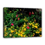Mystical Garden Canvas 16  x 12  (Stretched)