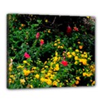 Mystical Garden Canvas 20  x 16  (Stretched)