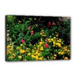 Mystical Garden Canvas 18  x 12  (Stretched)