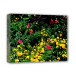 Mystical Garden Deluxe Canvas 14  x 11  (Stretched)