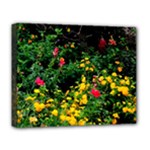 Mystical Garden Deluxe Canvas 20  x 16  (Stretched)