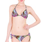 Raspberry Lime Delight, Abstract Ferris Wheel Bikini Raspberry Lime Delight, Abstract Ferris Wheel Bikini