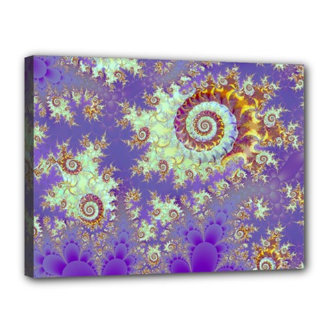 Sea Shell Spiral, Abstract Violet Cyan Stars Canvas 16  x 12  (Framed) from ArtsNow.com