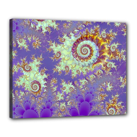 Sea Shell Spiral, Abstract Violet Cyan Stars Canvas 20  x 16  (Framed) from ArtsNow.com