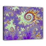 Sea Shell Spiral, Abstract Violet Cyan Stars Canvas 20  x 16  (Framed)