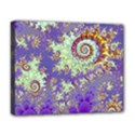 Deluxe Canvas 20  x 16  (Stretched) 