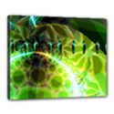Canvas 20  x 16  (Stretched) 