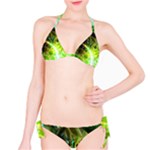 Dawn Of Time, Abstract Lime & Gold Emerge Bikini