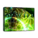 Deluxe Canvas 16  x 12  (Stretched)  