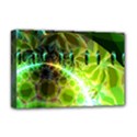 Deluxe Canvas 18  x 12  (Stretched) 