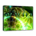 Deluxe Canvas 20  x 16  (Stretched) 