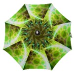 Dawn of Time, Abstract Lime & Gold Emerge Straight Umbrella Dawn of Time, Abstract Lime & Gold Emerge Straight Umbrella