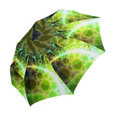 Folding Umbrella 