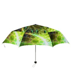 Folding Umbrella 