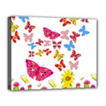 Butterfly Beauty Canvas 14  x 11  (Framed)