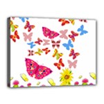 Butterfly Beauty Canvas 16  x 12  (Framed)